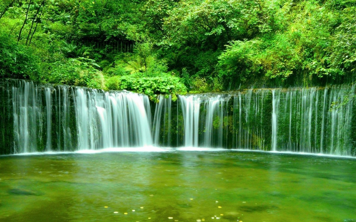 Картинки на рабочий стол живые обои