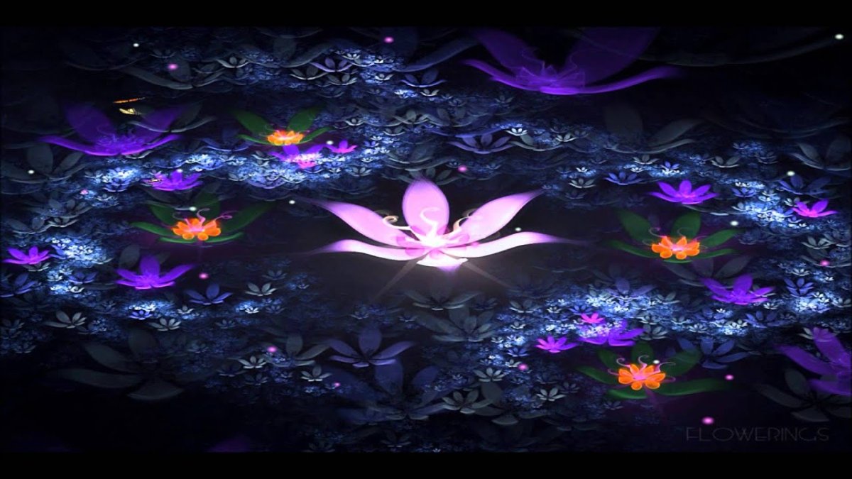 Волшебный цветок