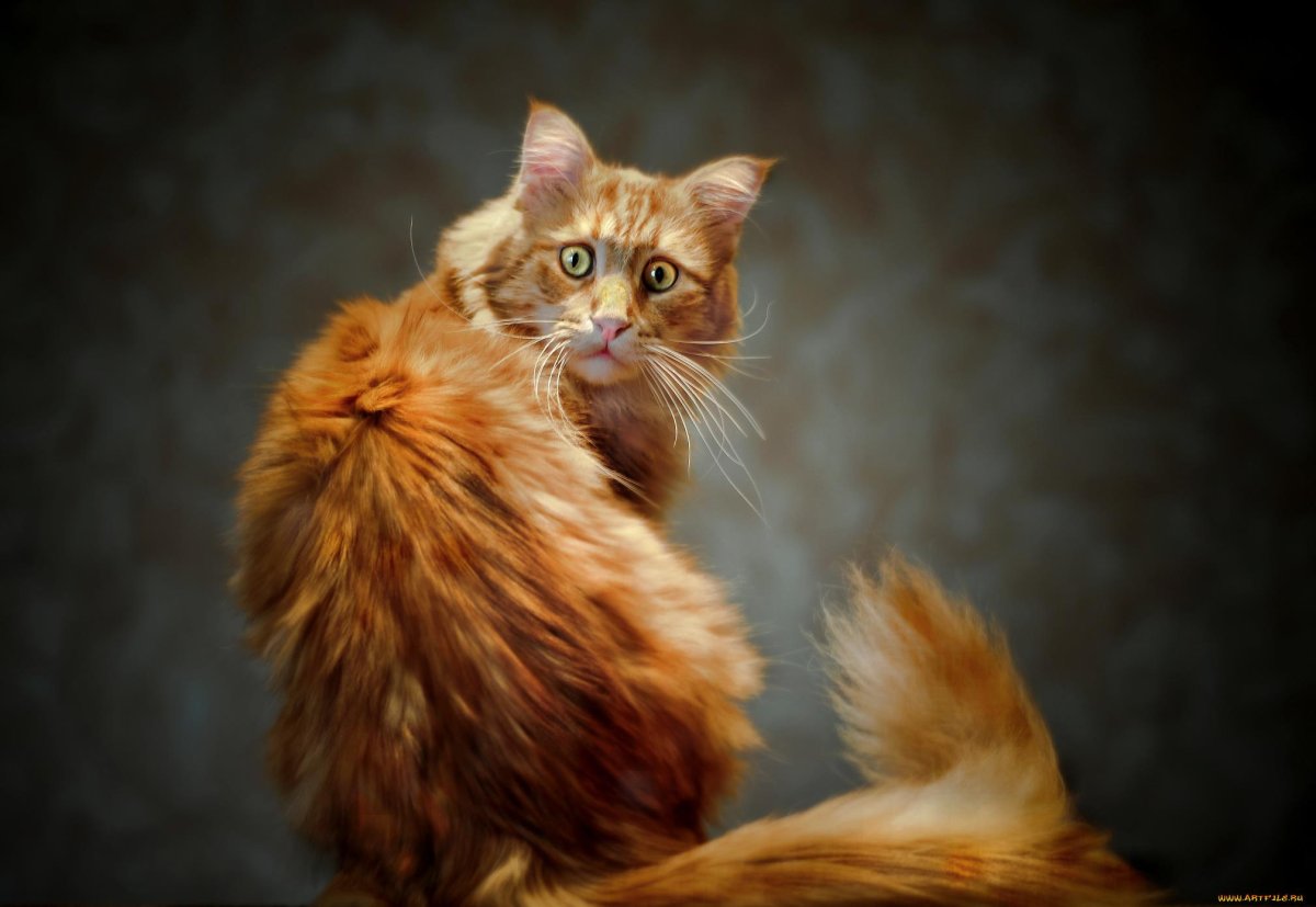 Первый день после отпуска