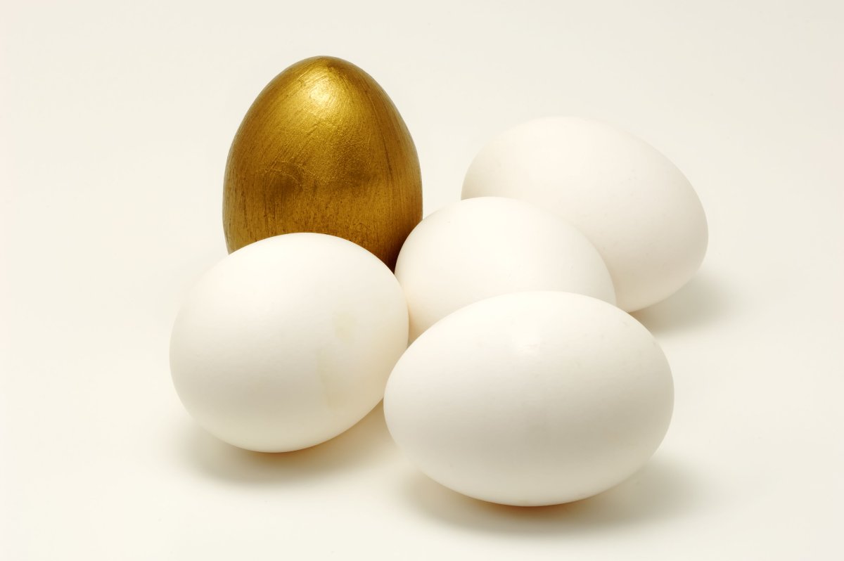 Золотое яйцо картина