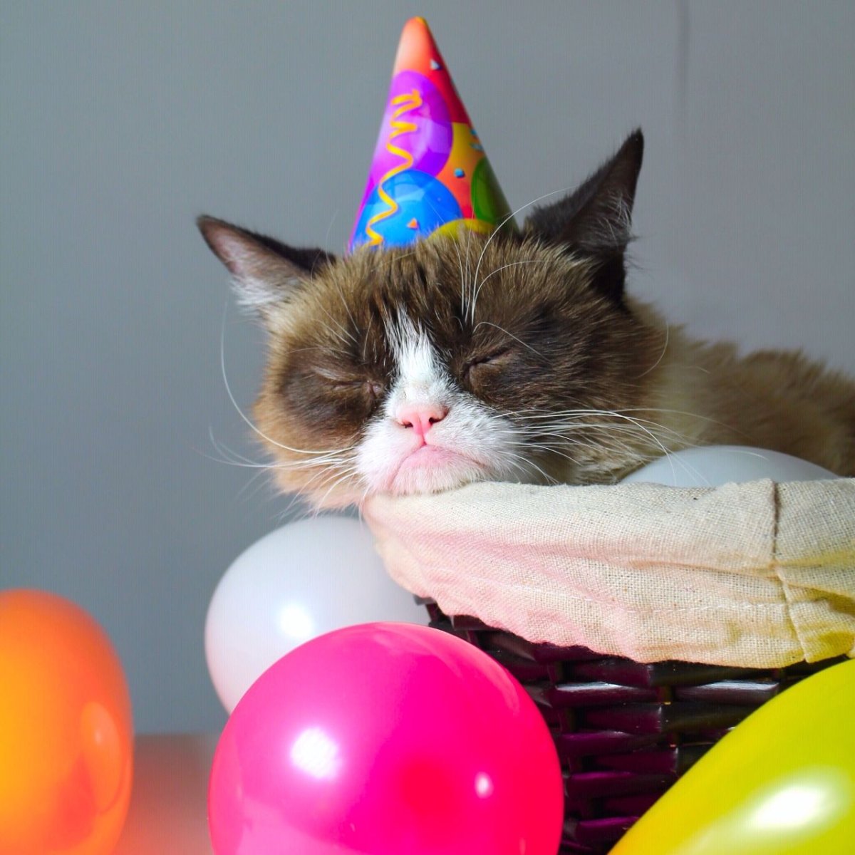 День рождения в одиночестве