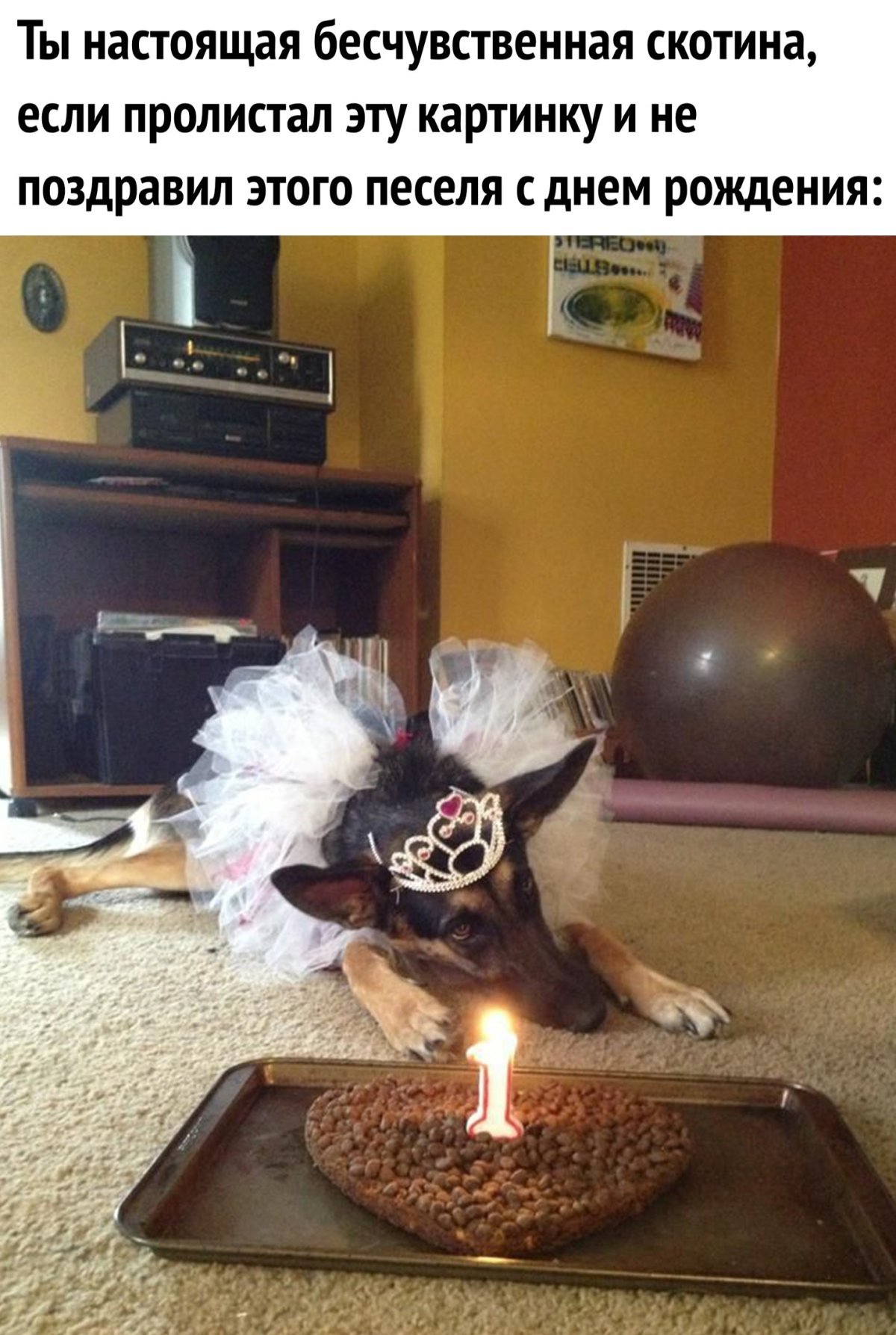 Фотосессия с тортом