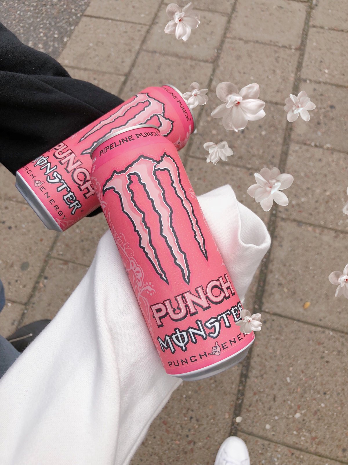 Попович Виолетта