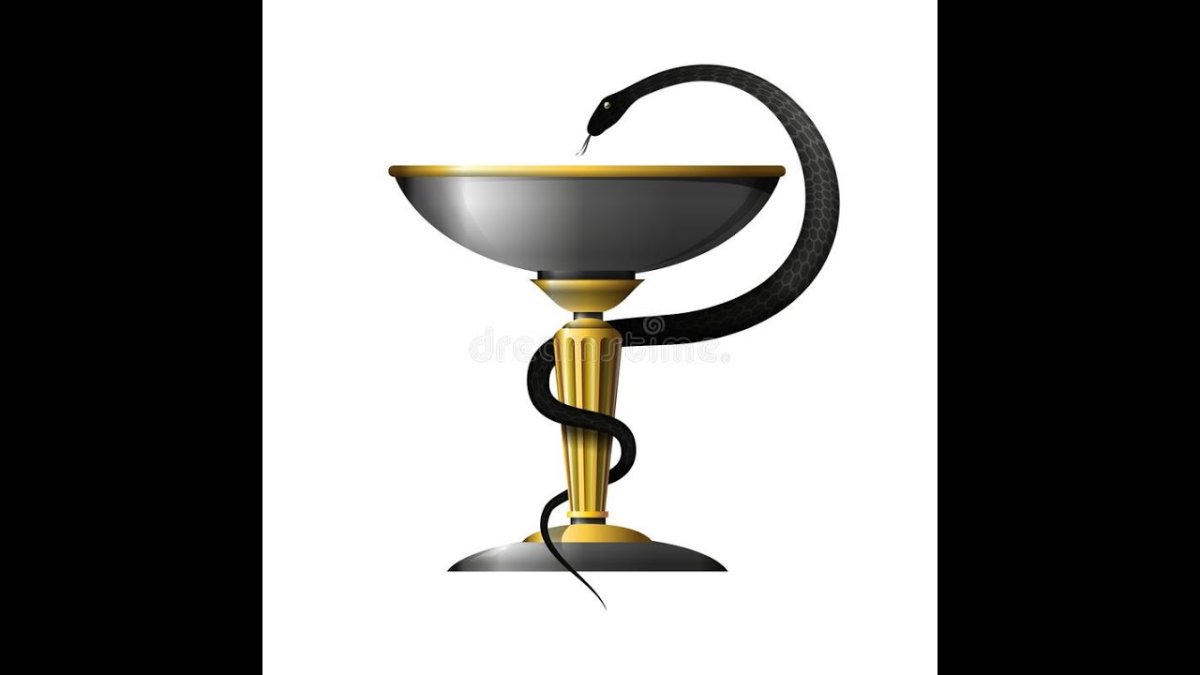 Чаша со змеей красивая