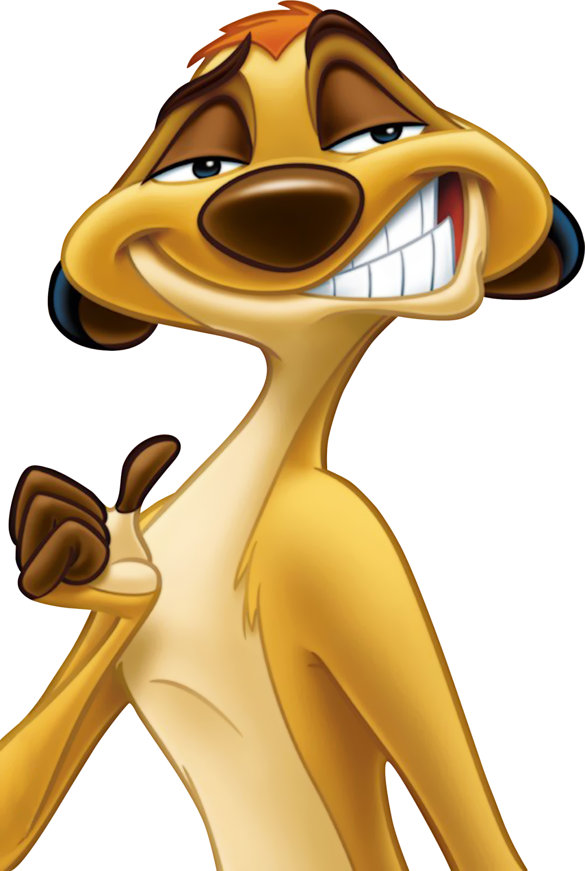 Король Лев герои Тимон