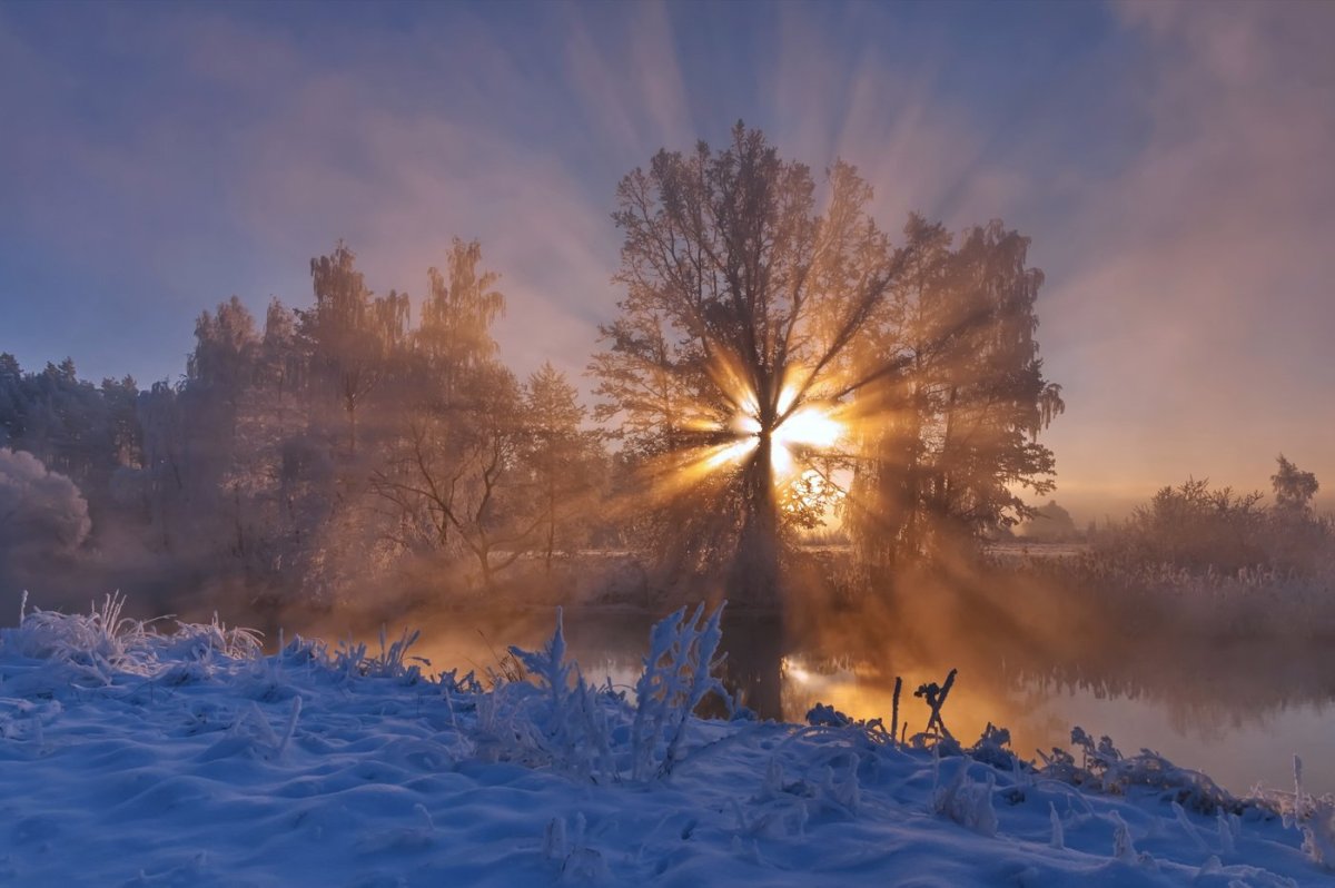 Утро зима солнце