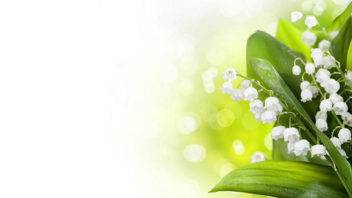 Поздравление родившимся в июле