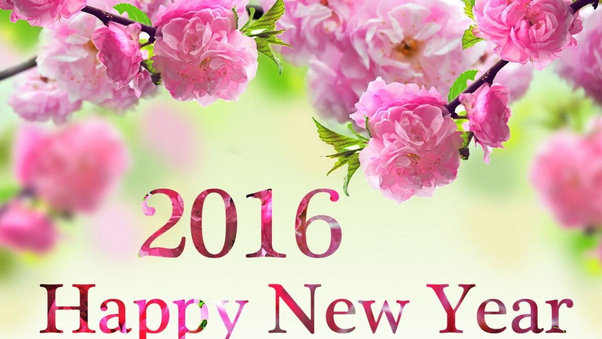 Поздравления с днём рождения Маргарите