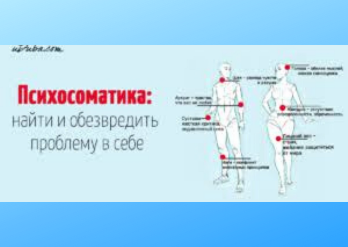 Телесные блоки и зажимы