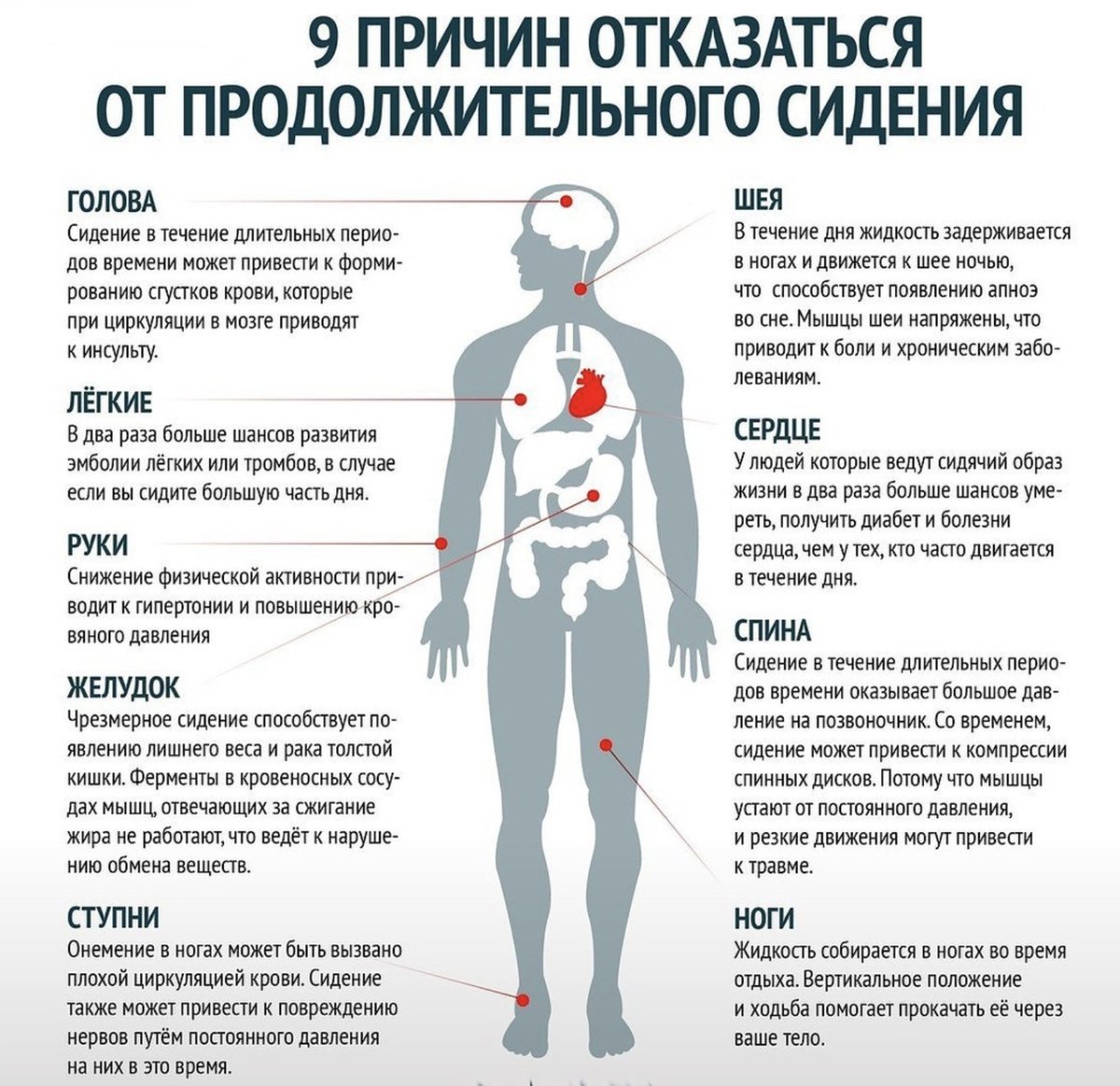 Гормоны эндокринной системы таблица