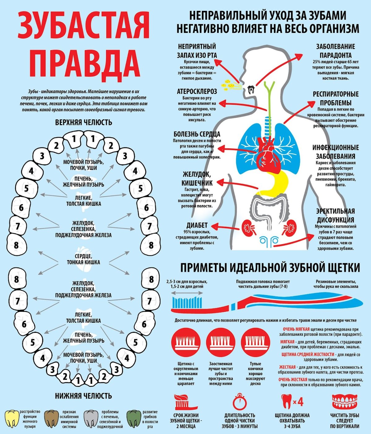 Рассеянный склероз симптомы у женщин на ранних стадиях симптомы