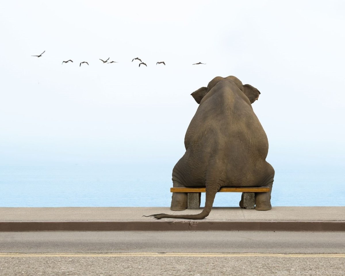 Зоны головной боли