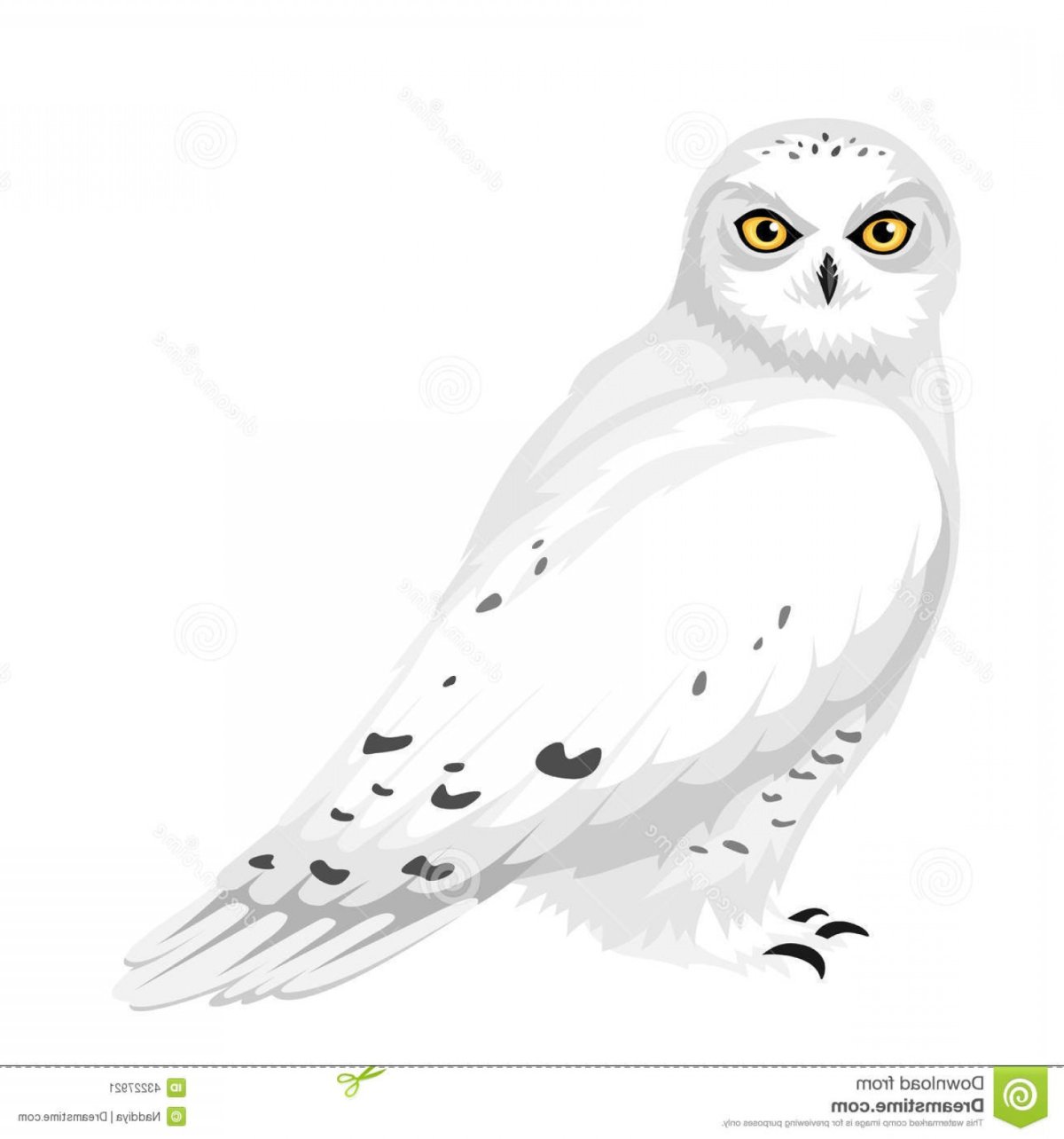 Полярная Сова Харп