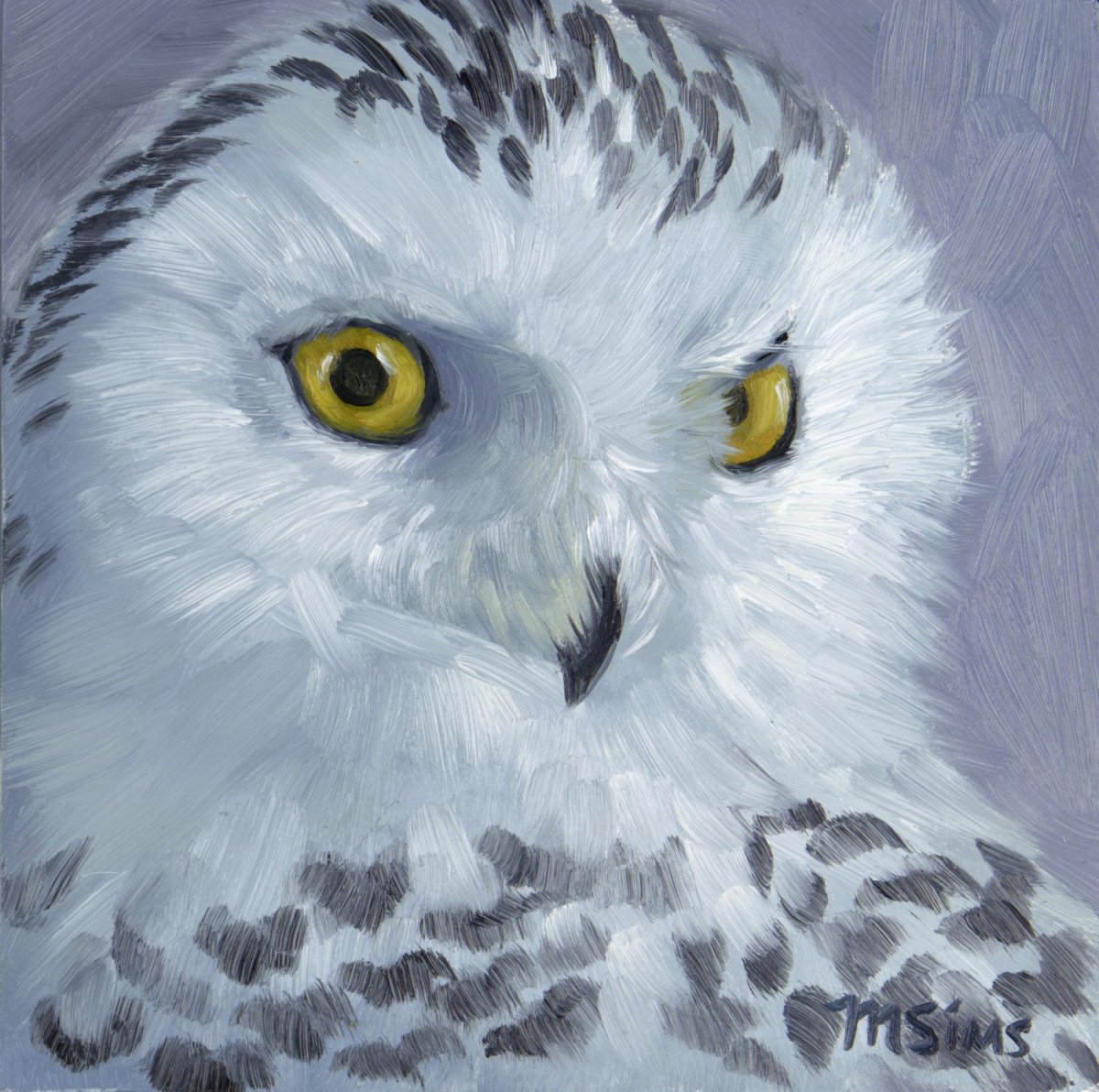 Мультяшные белые Совы
