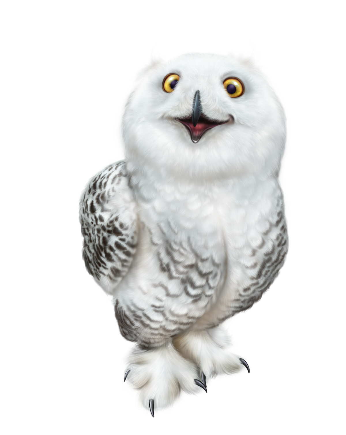 Букля на белом фоне