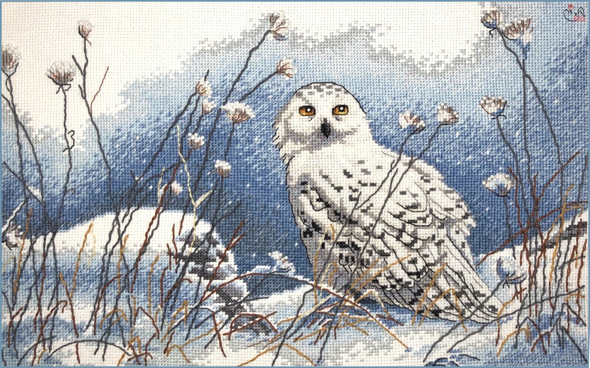 Полярная Сова от Дименшенс