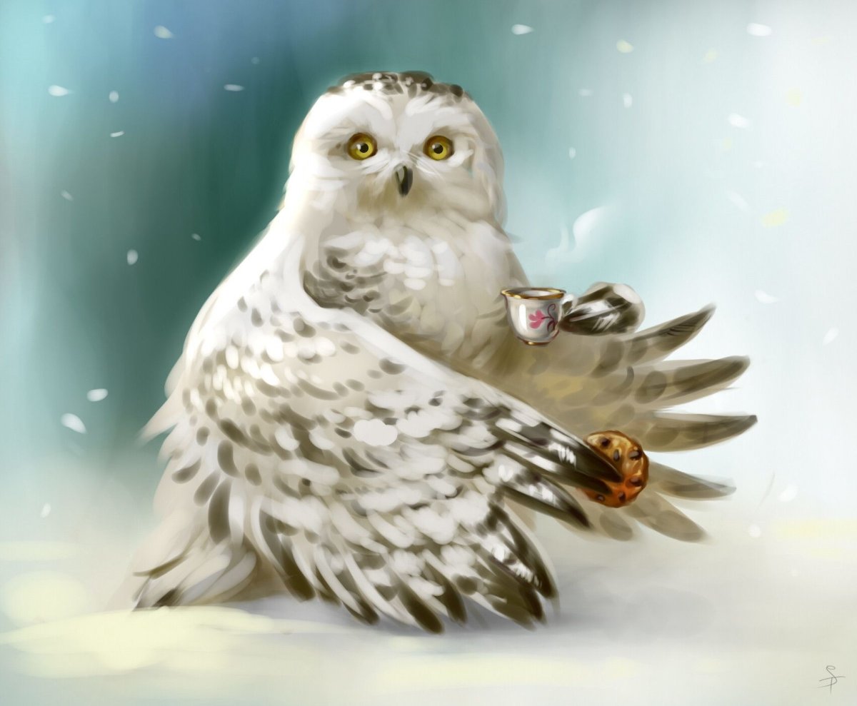 Рисование Полярная Сова