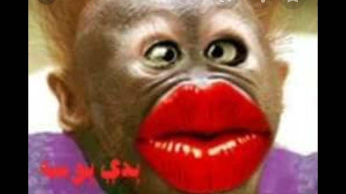 Обезьяна с губами