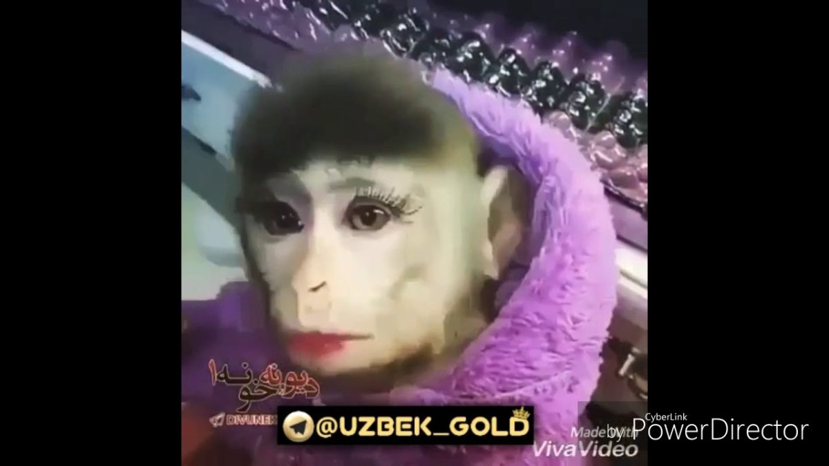 Обезьяна с косметикой