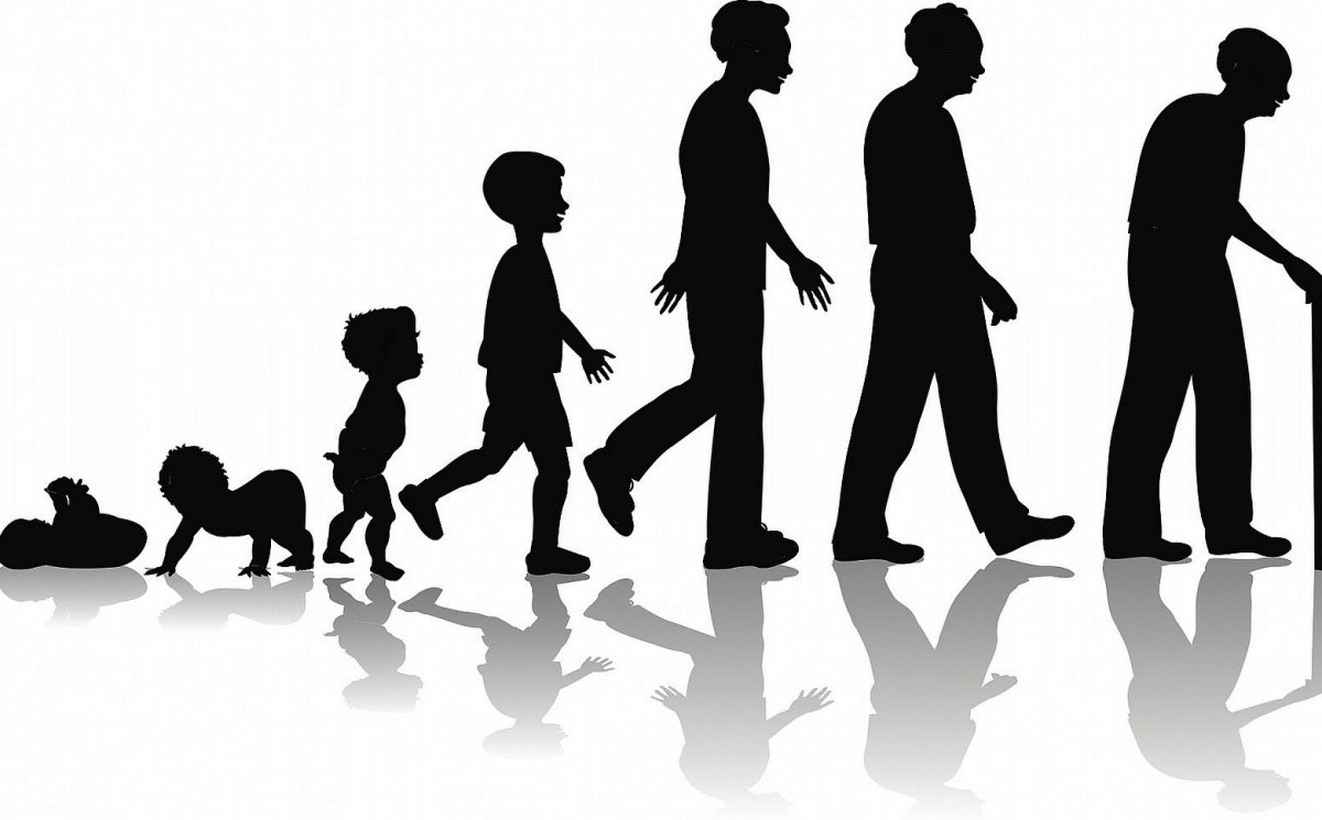 Силуэты людей разных возрастов