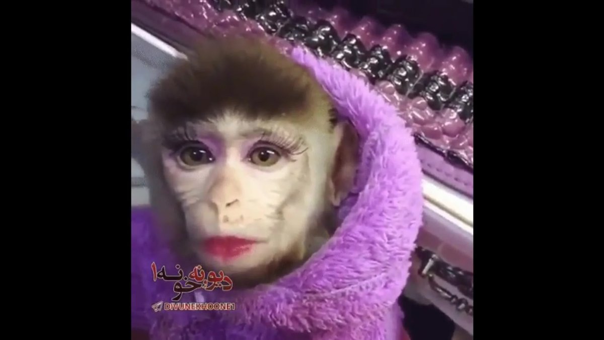 Накрашенная обезьяна