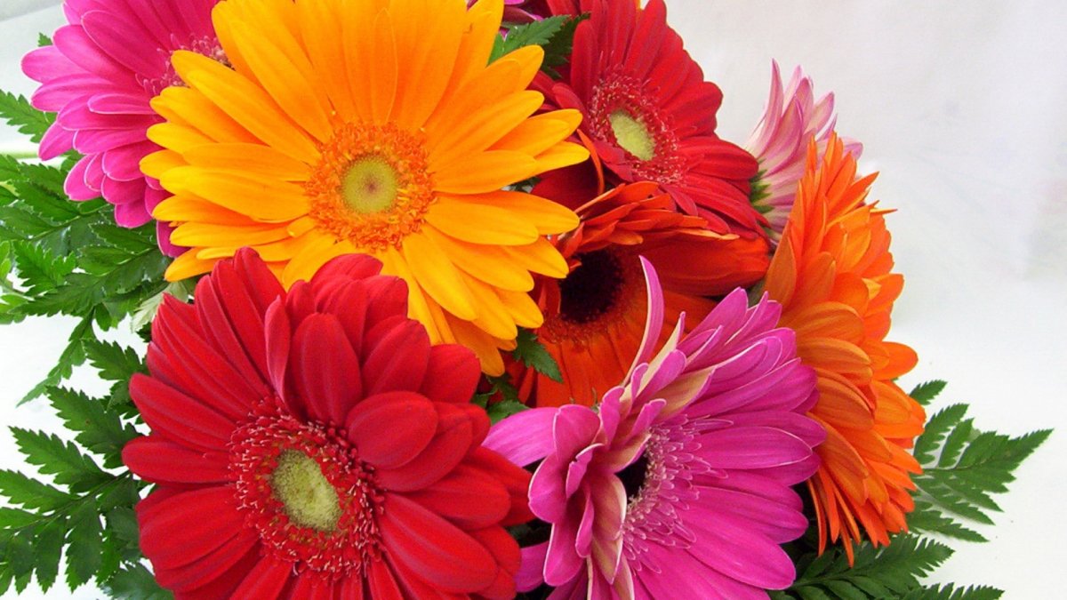 Букет гербер в вазе