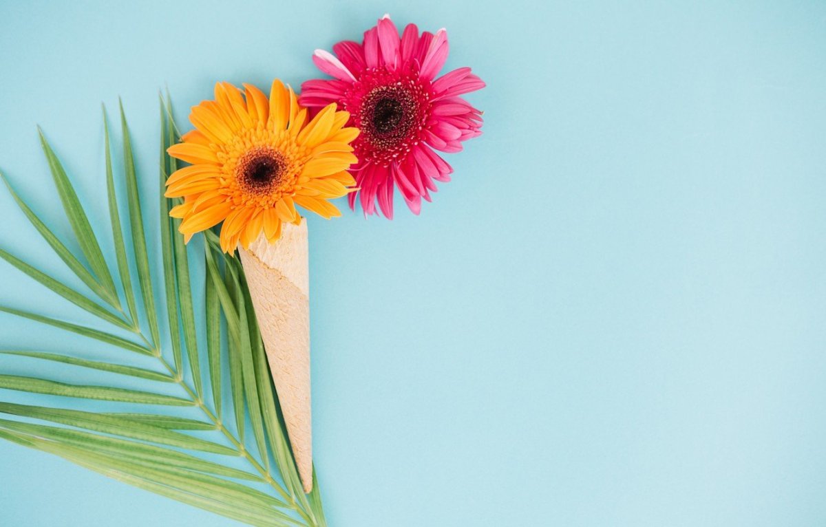 Фон с герберами