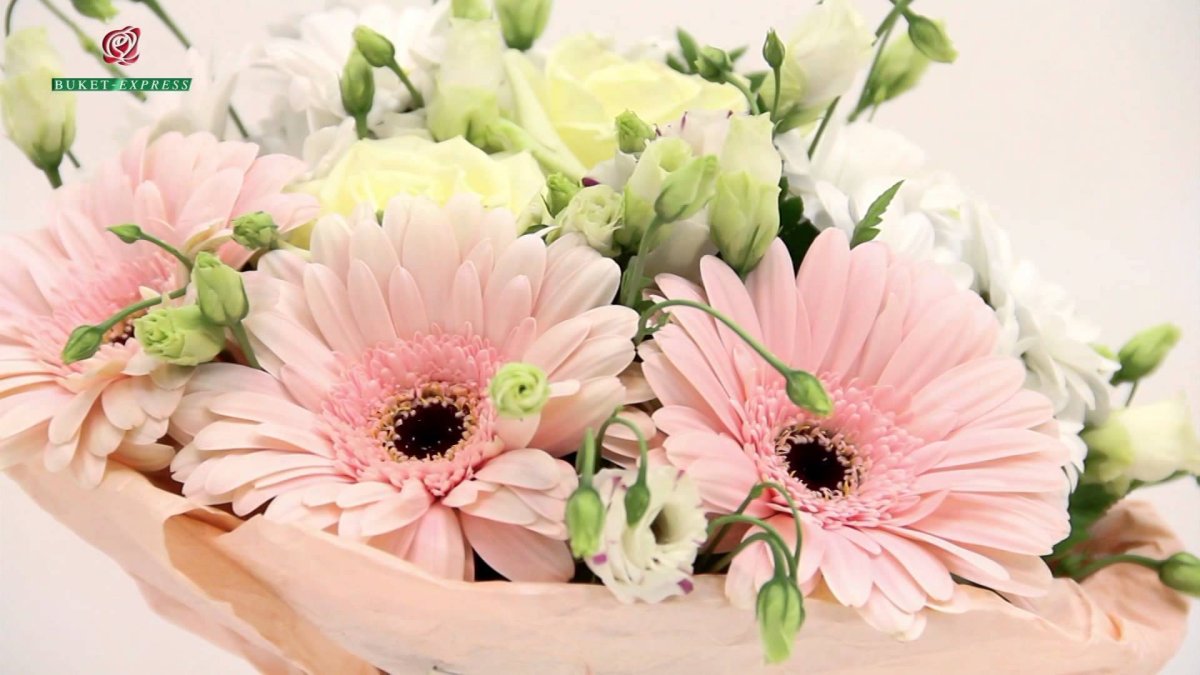 Букет гербер открытка