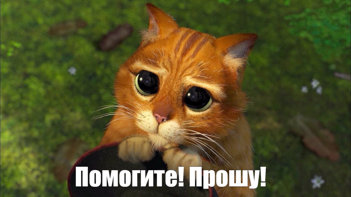 Котик из Шрека