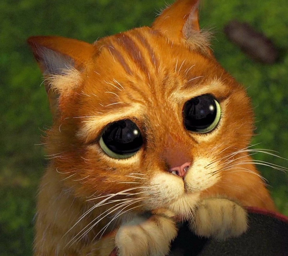 Собака с розой