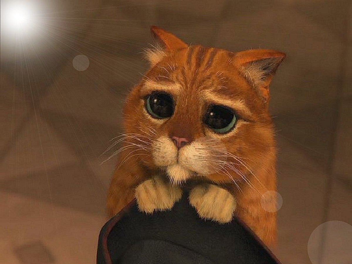 Кот в сапогах Шрек