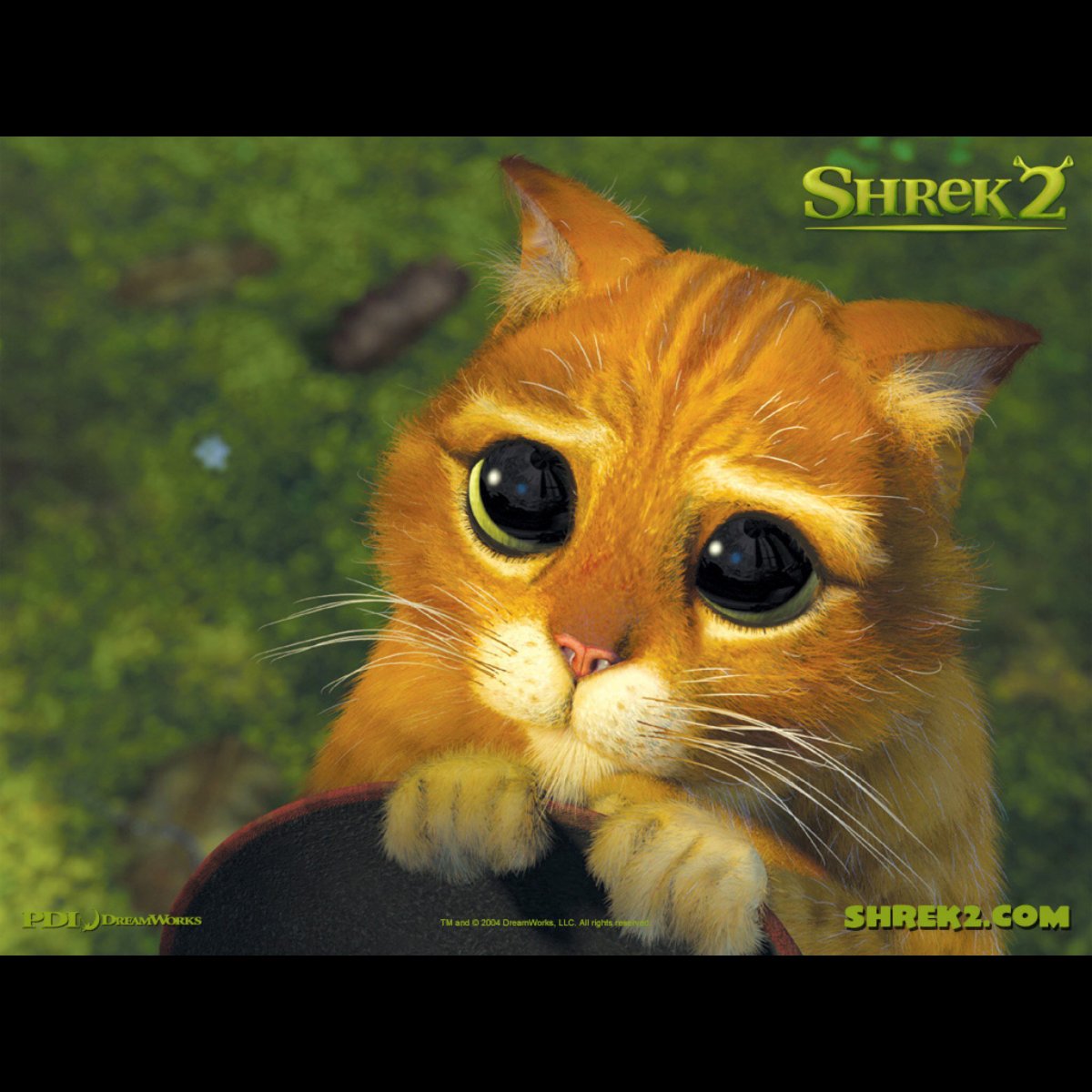 Прости меня Мем