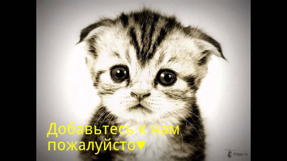 Простите меня