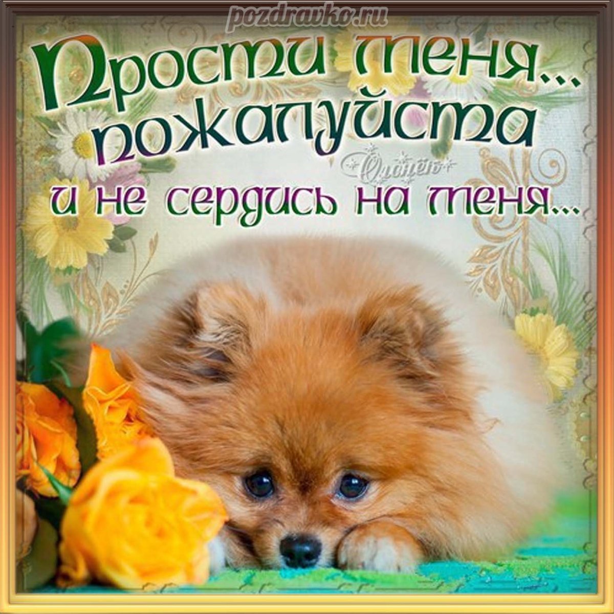 Померанский шпиц