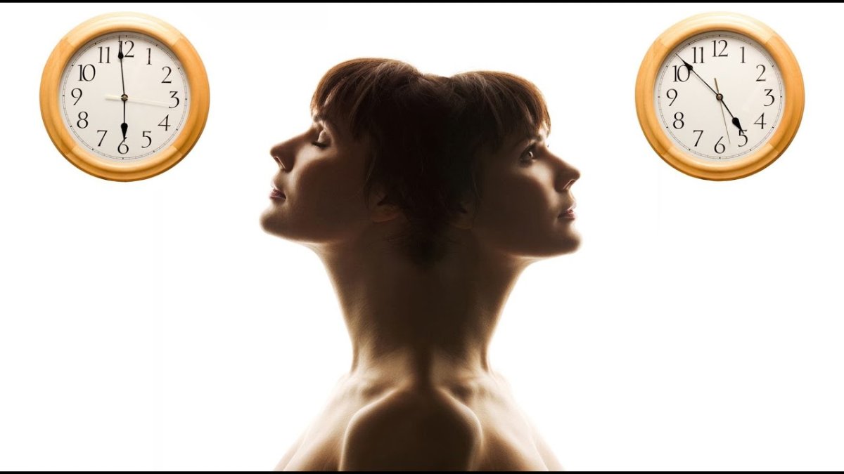 Биоритмы часы