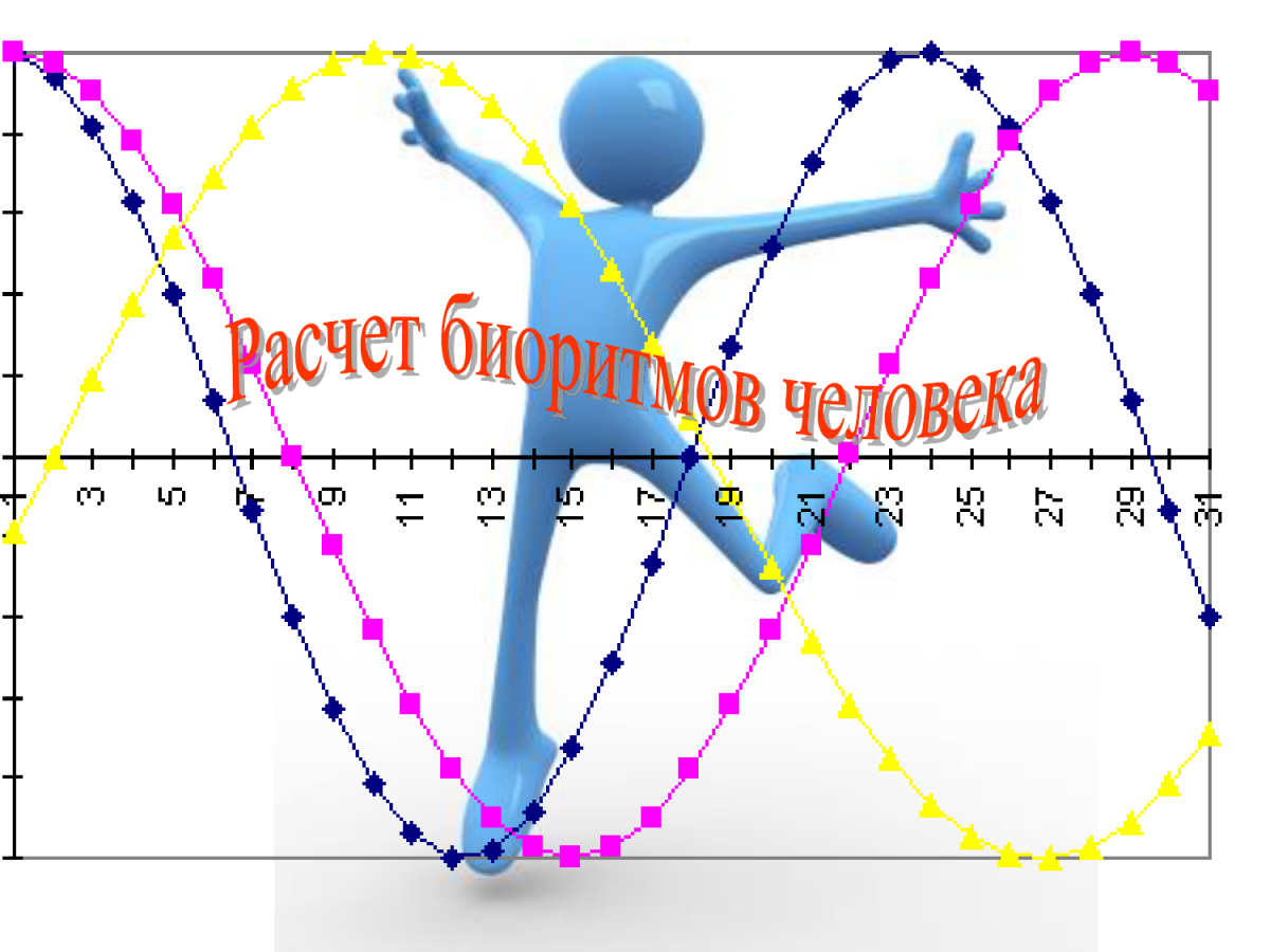 Эпифиз биоритмы