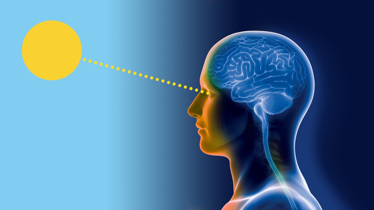 Внутренние часы