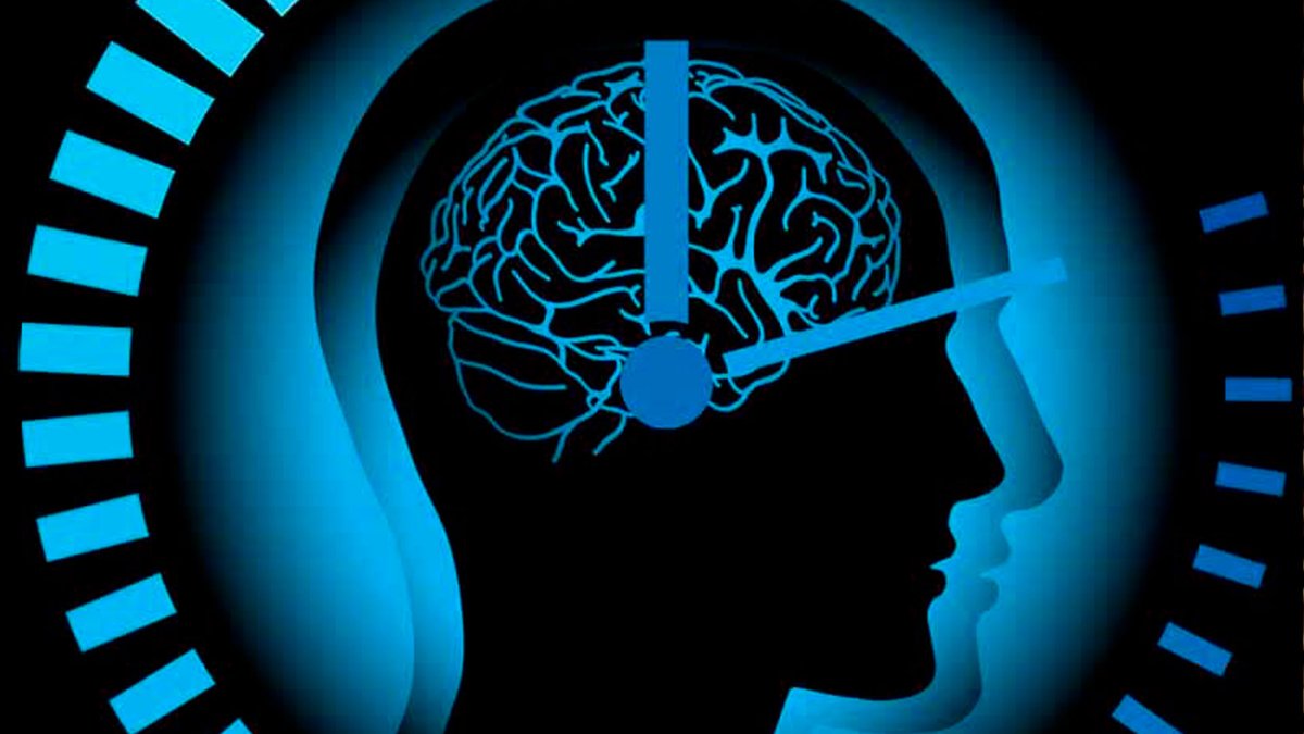 Хронобиология человека