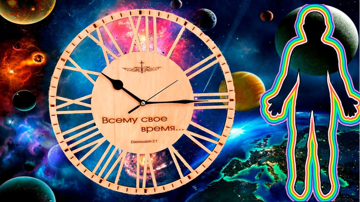 Биоритмы часы