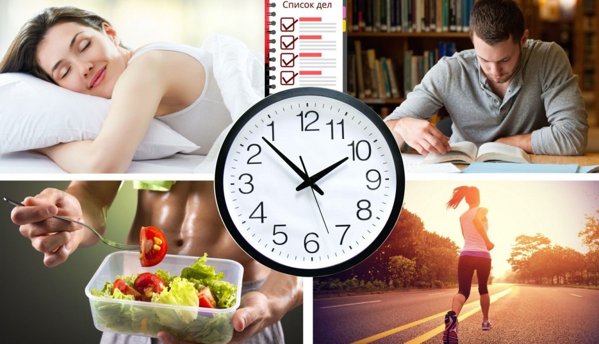 Биоритмы рисунок