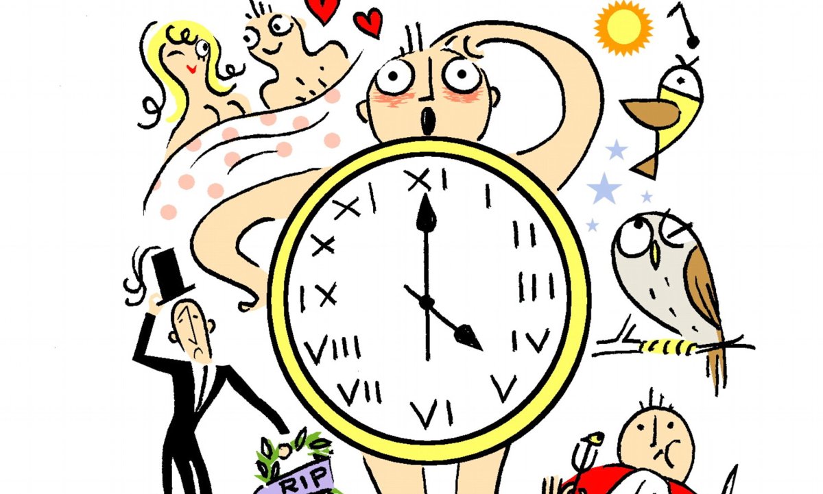 Биоритмы картинки