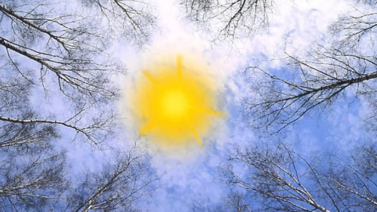 Весеннее солнышко