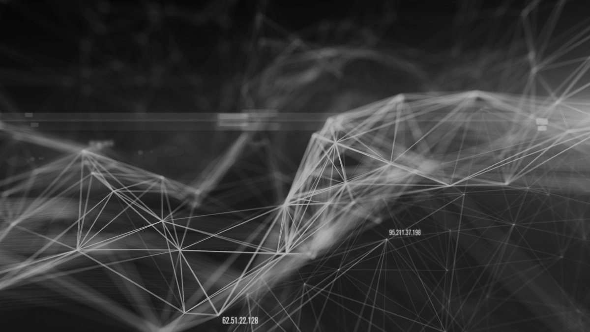 Цифровая паутина