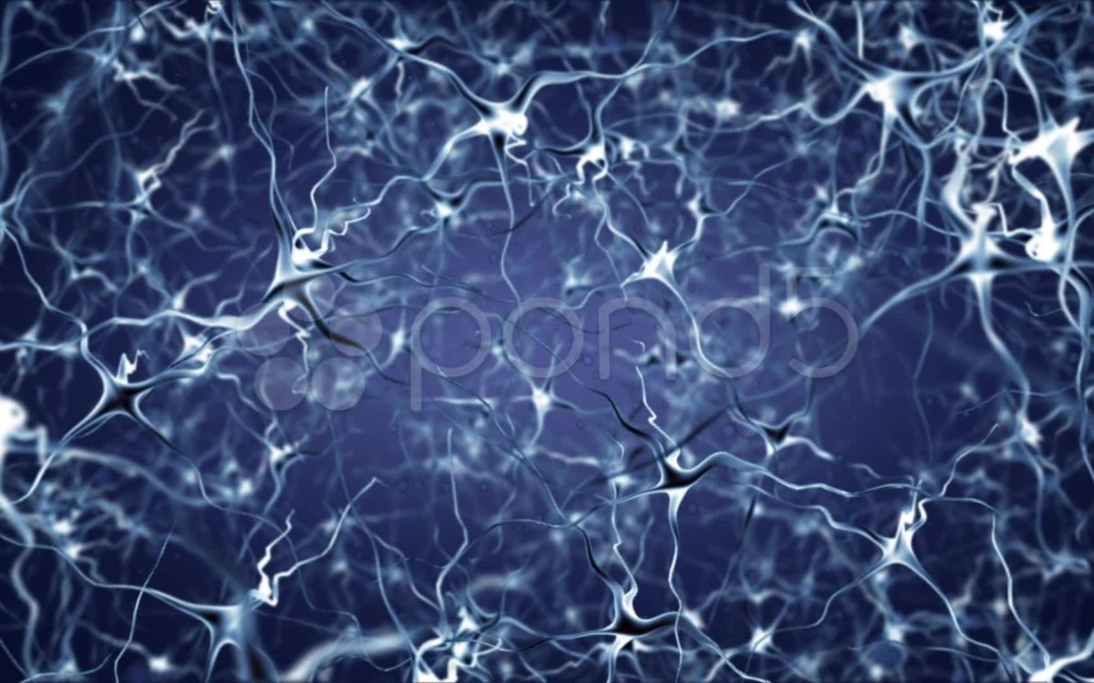 Искусственная нейронная сеть