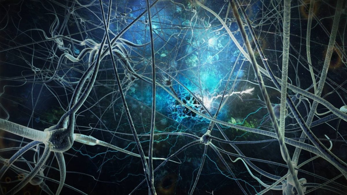 Геометрические линии