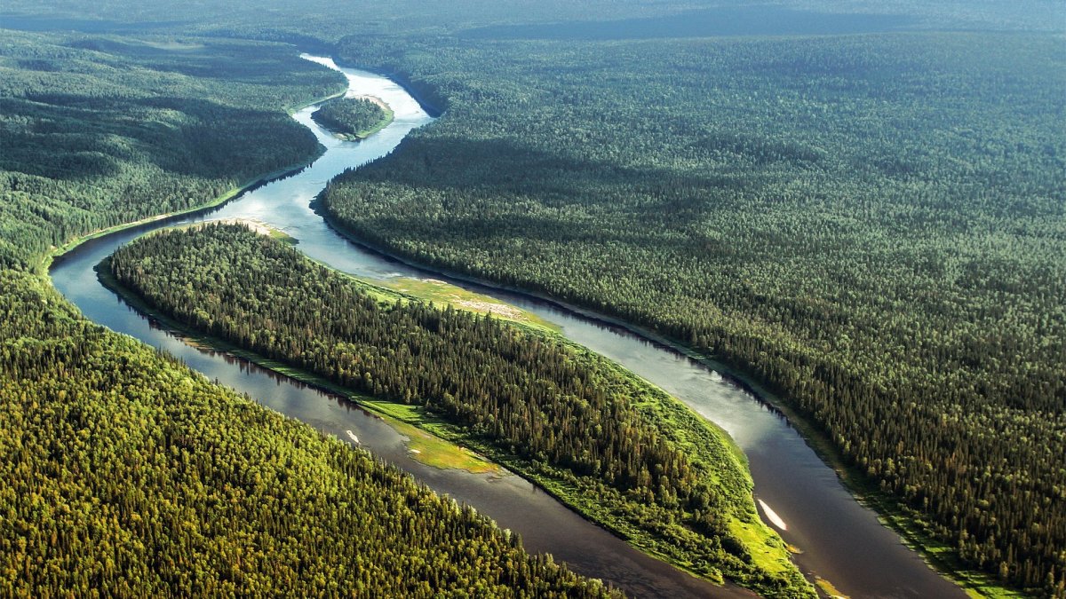 Коми река Илыч