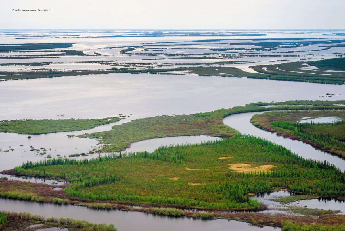 Река Обь Исток реки