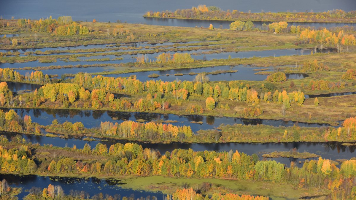 Природа Удмуртии Ижевск