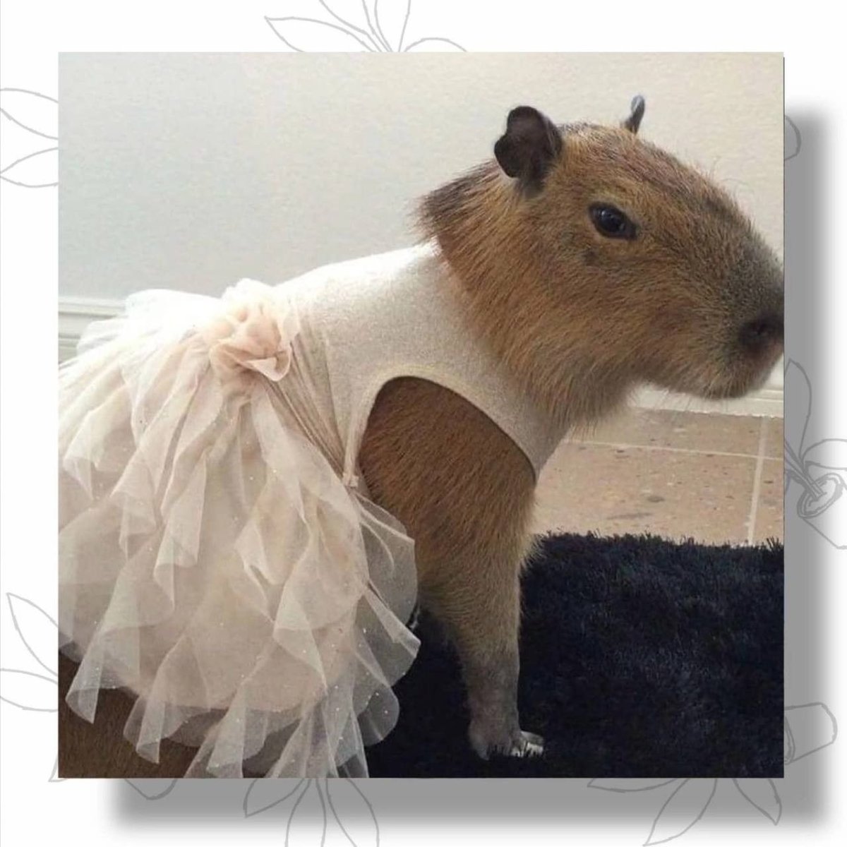 Свадьба капибар