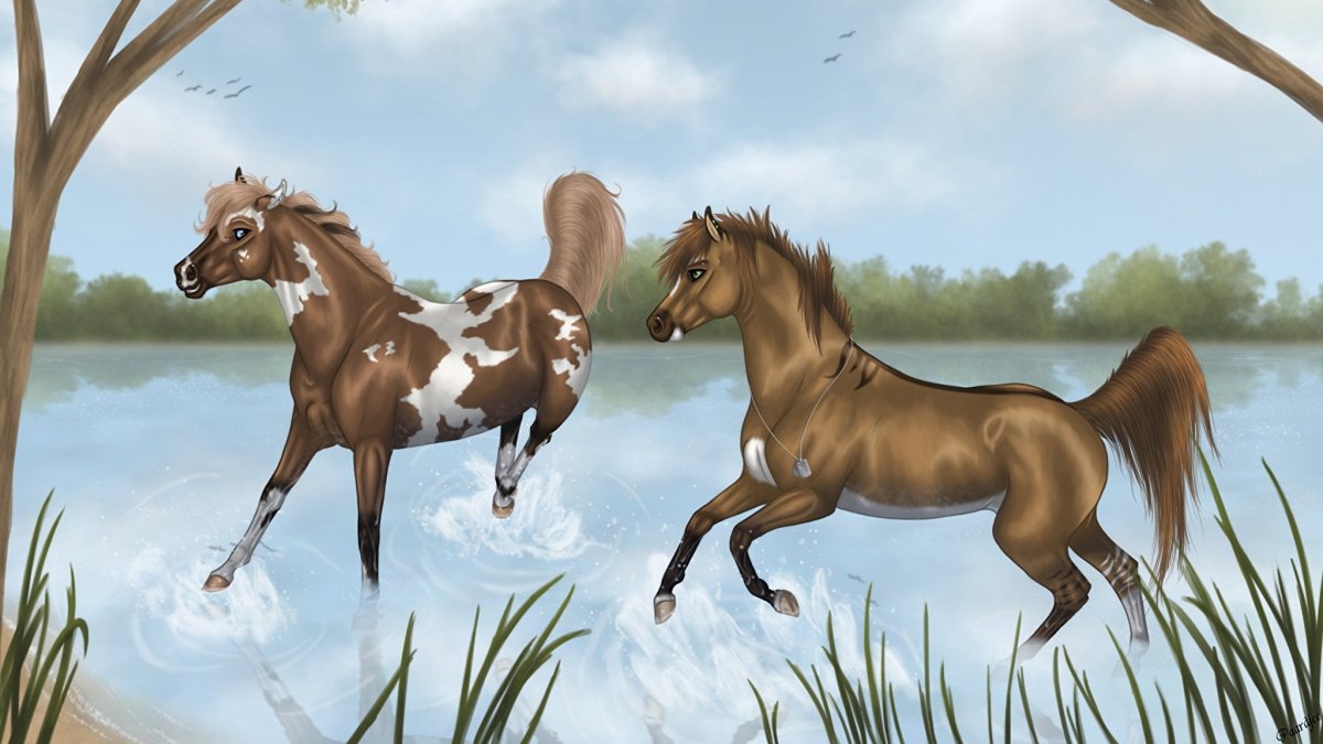 Арты лошадей